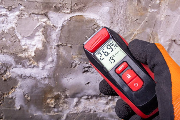 Best Water Damage Restoration  in Uvalde, TX