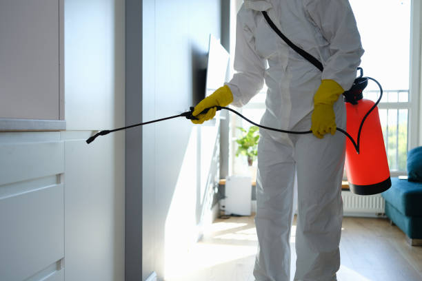 Best Office Mold Removal Services  in Uvalde, TX