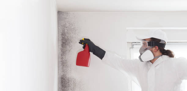 Best Mold Testing  in Uvalde, TX