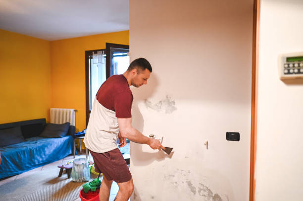 Uvalde, TX Mold Removal Company
