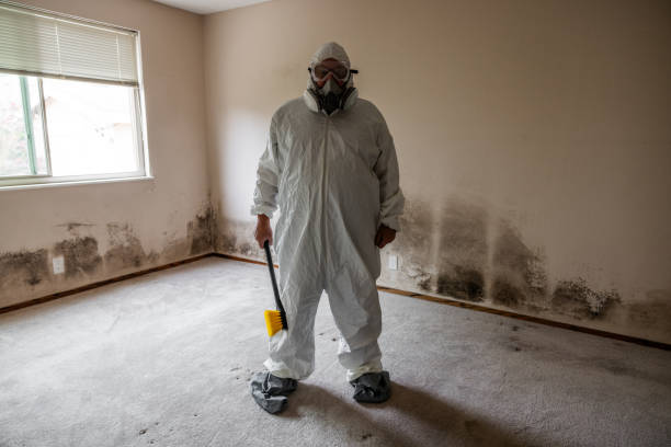 Best Affordable Mold Removal  in Uvalde, TX